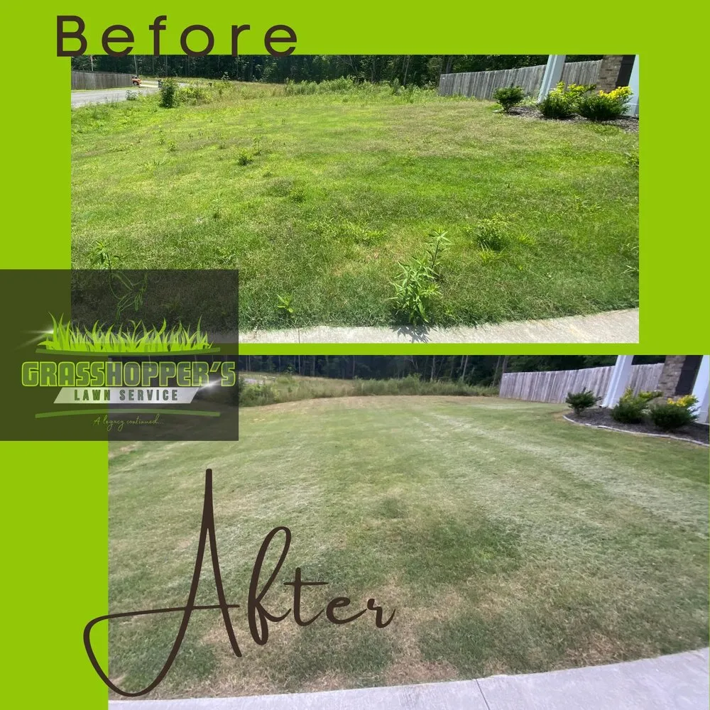 Expert yard maintenance for beautiful yards in Arab, AL by Grasshopper’s Lawn Service