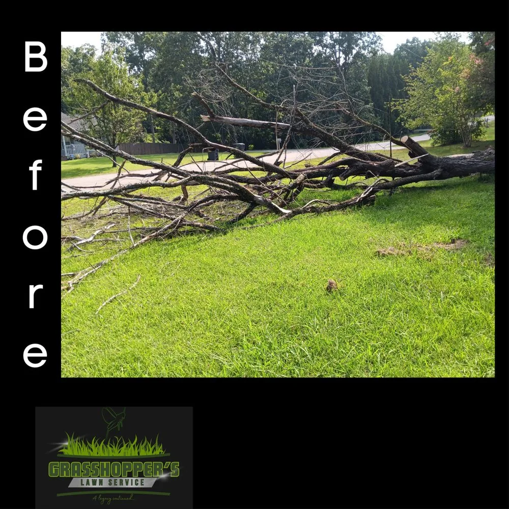 Professional landscape installation in Arab, AL by Grasshopper’s Lawn Service