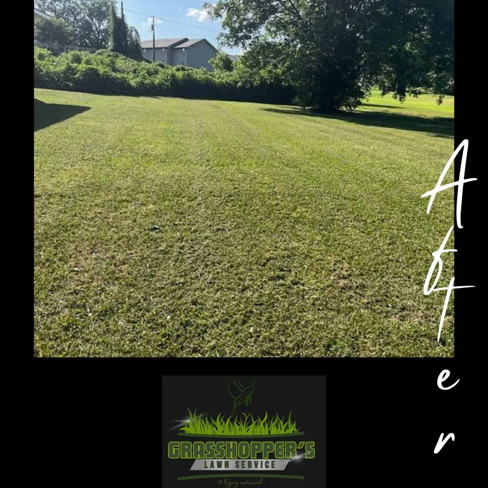Local yard cleanup service near you across Arab, AL - Grasshopper’s Lawn Service