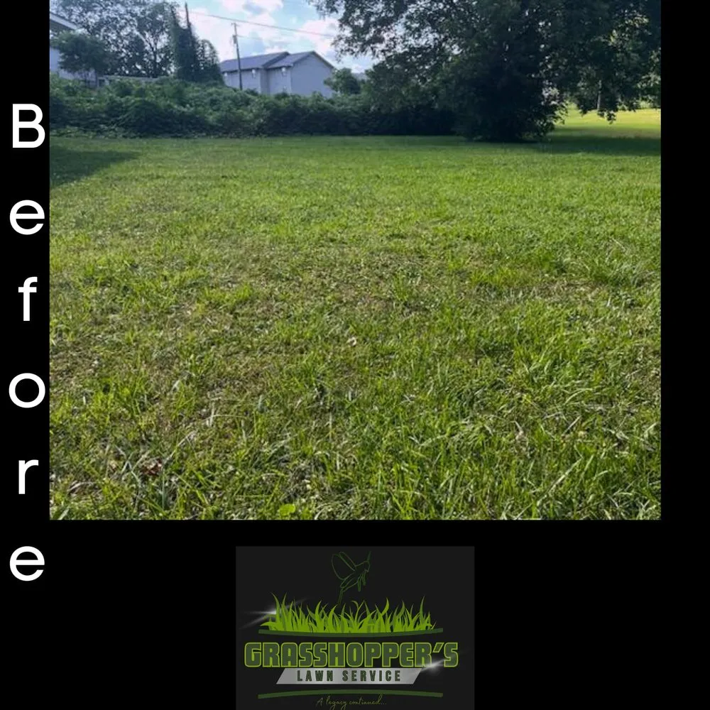 Professional lawn mowing service for beautiful yards in Arab, AL by Grasshopper’s Lawn Service