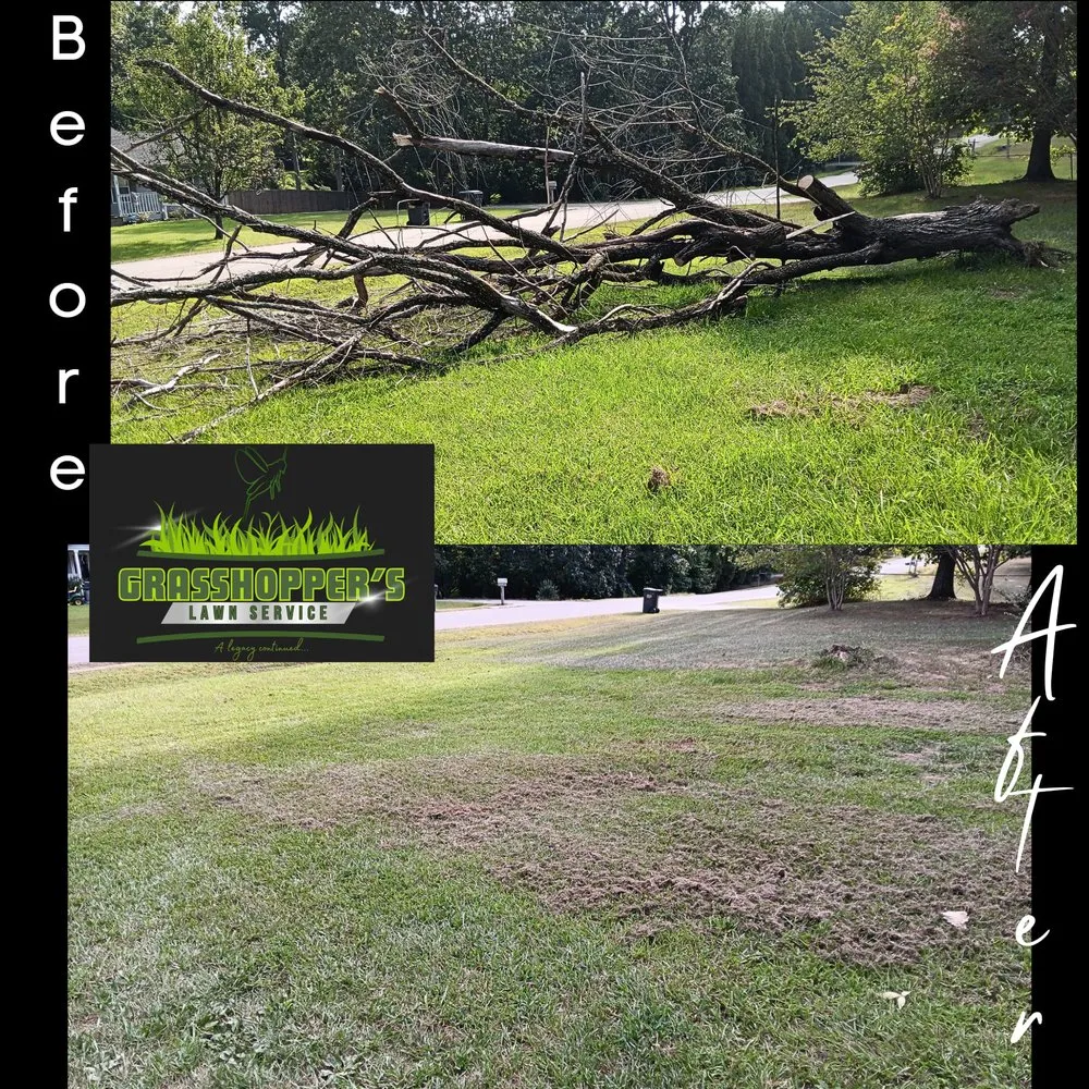 Local residential landscaping in Arab, AL - Grasshopper’s Lawn Service