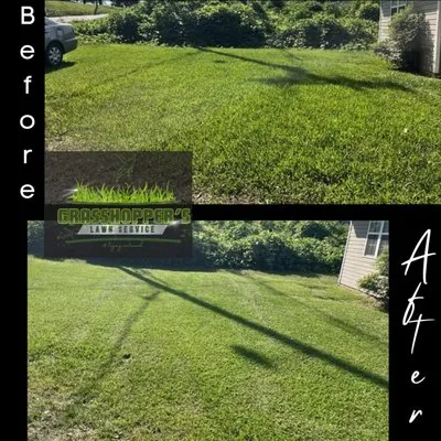 Grasshopper’s Lawn Service