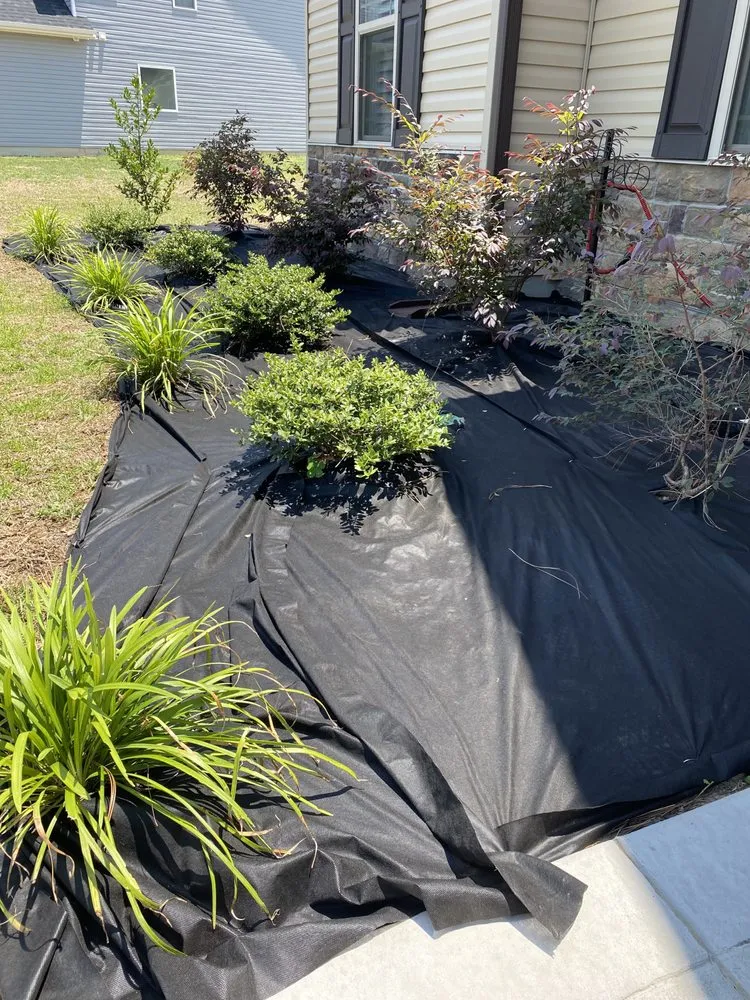 Top-rated residential landscaping in Fayetteville, NC - Grasshoppers Lawn Service