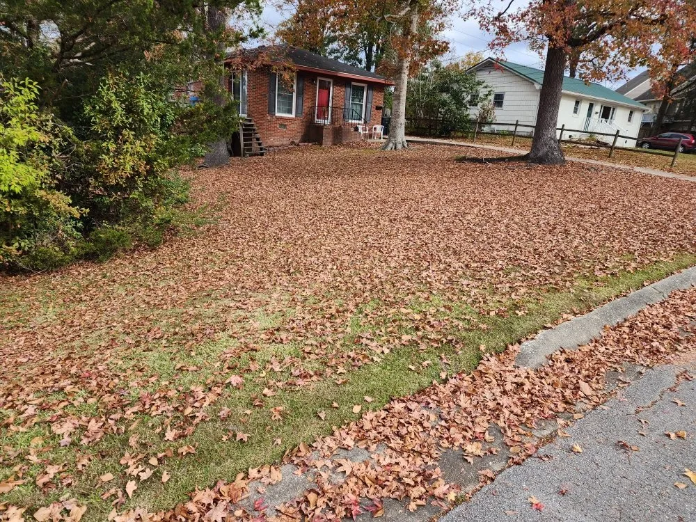 Custom landscape installation in Richlands, NC by Grasshoppers Lawn Service