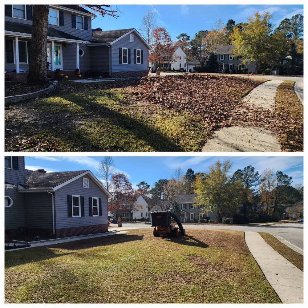 Expert landscaping services near you across Richlands, NC - Grasshoppers Lawn Service