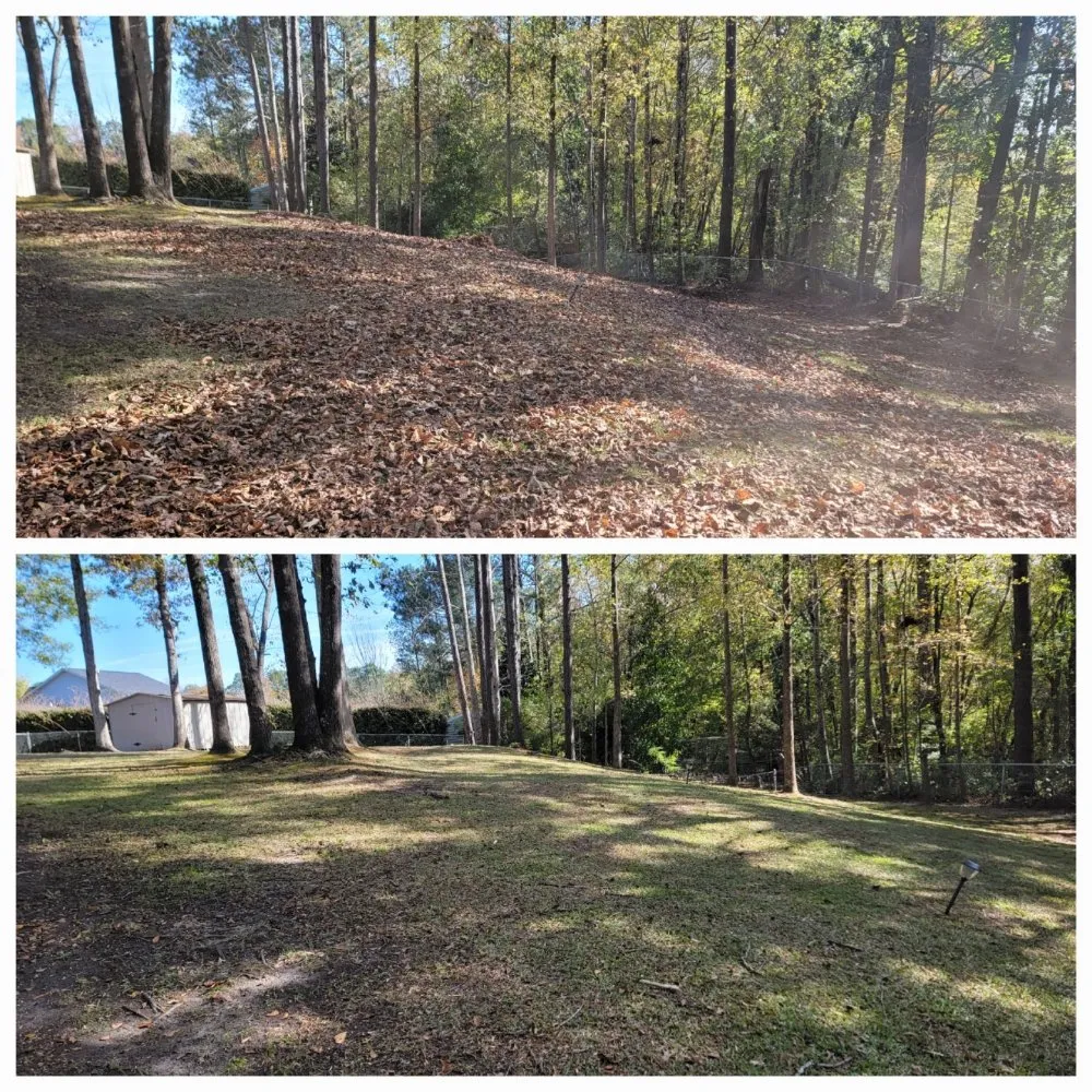 Professional landscaping services in Richlands, NC - Grasshoppers Lawn Service