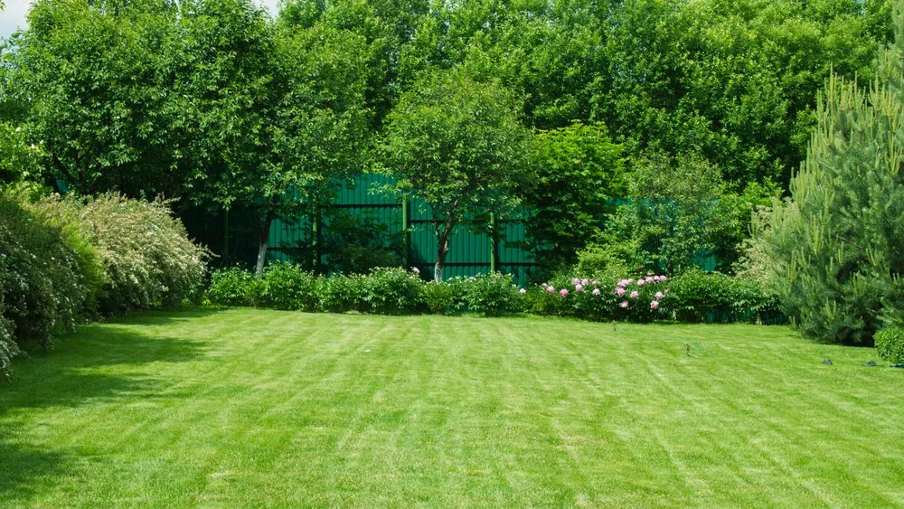 Professional landscaping services near you across Ocala, FL - Grasshoppers Lawncare