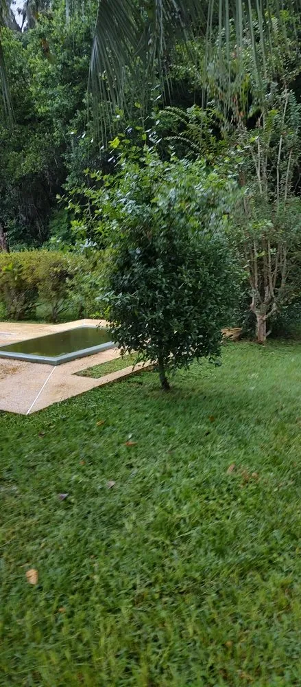 Top-rated lawn care service in Ocala, FL by Grasshoppers Lawncare