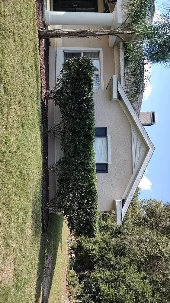 Local landscaping services experts serving Ocala, FL - Grasshoppers Lawncare