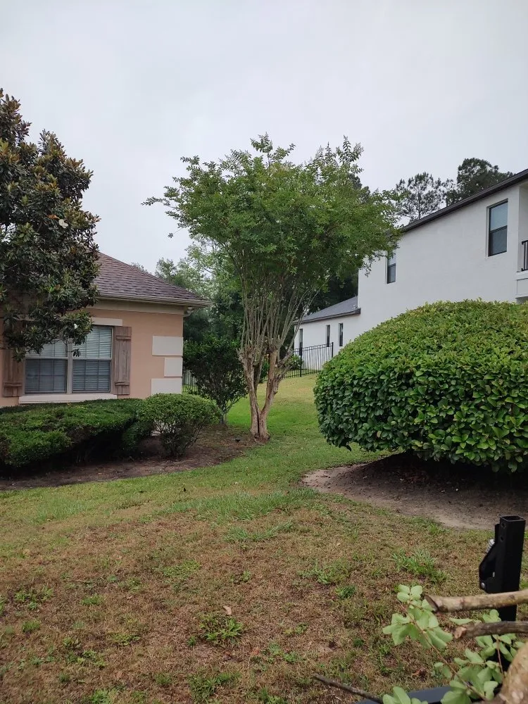 Professional landscaping services in Ocala, FL by Grasshoppers Lawncare