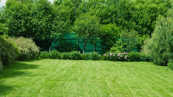 Grasshoppers Lawncare Logo