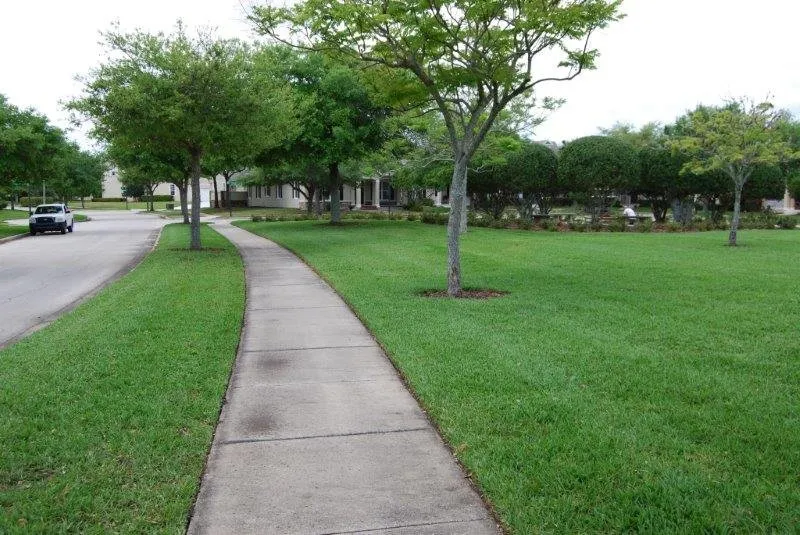 Custom lawn mowing service experts serving Orlando, FL - Grasshoppers