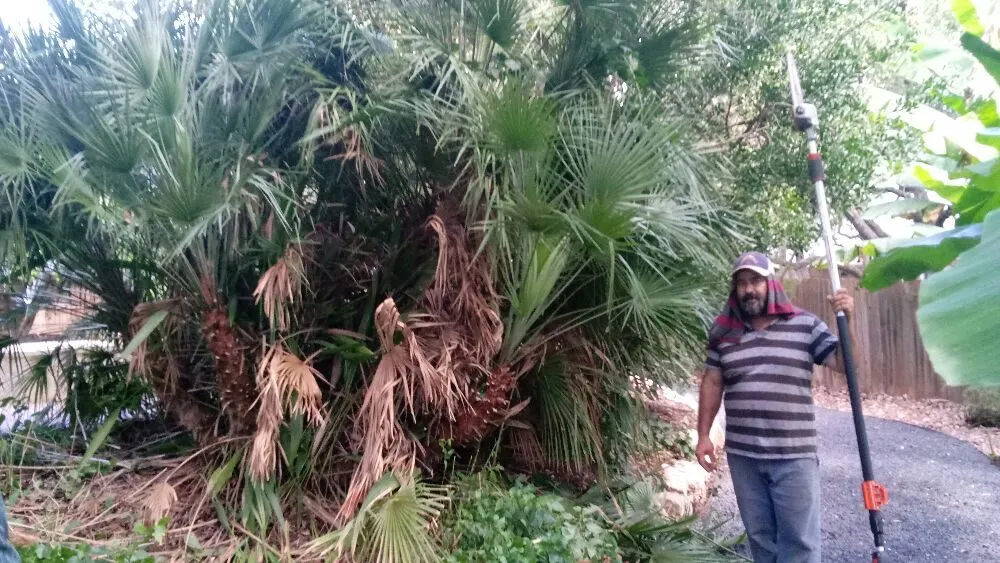 Professional garden landscaping in Live Oak, TX - Grasshopper's Services