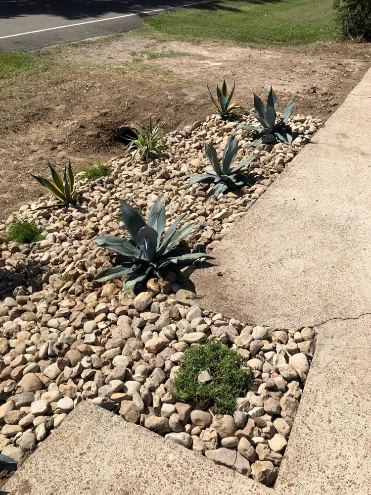 Trusted landscape installation in Tomball, TX - Grasshoppers Tree Cut