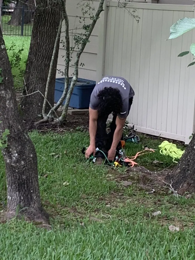 Local outdoor landscaping for year-round maintenance across Tomball, TX - Grasshoppers Tree Cut