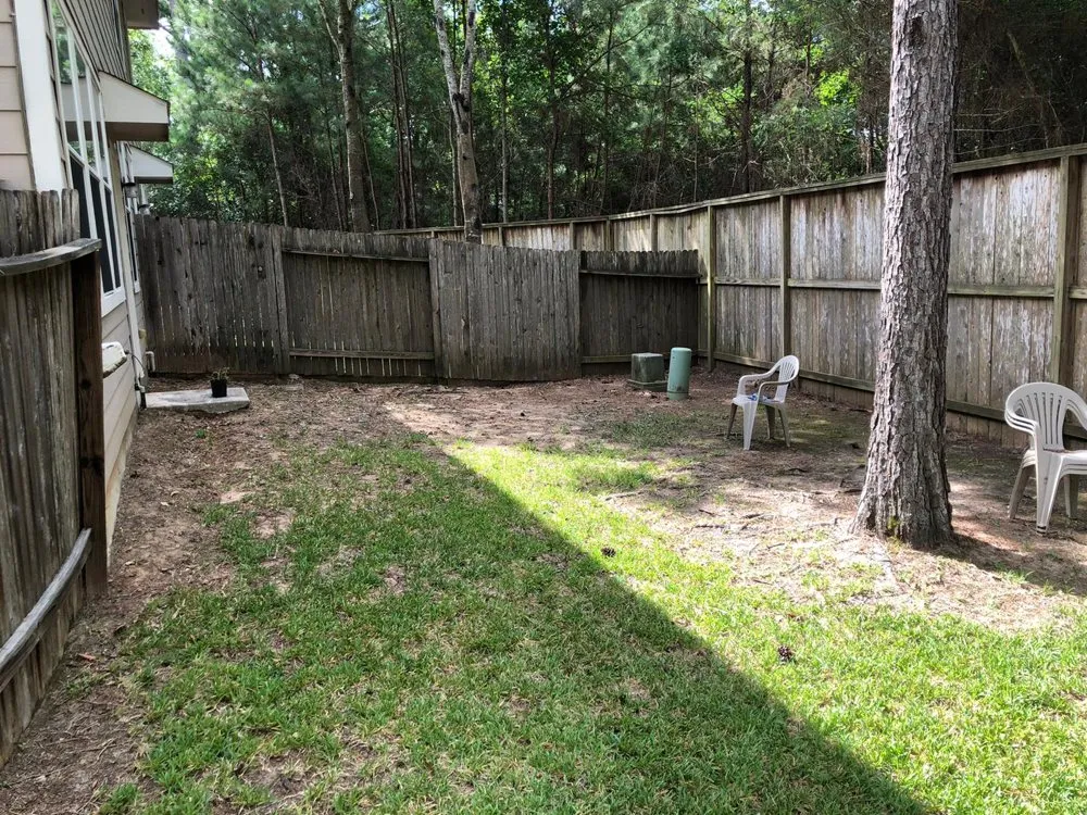 Local residential landscaping in Tomball, TX - Grasshoppers Tree Cut