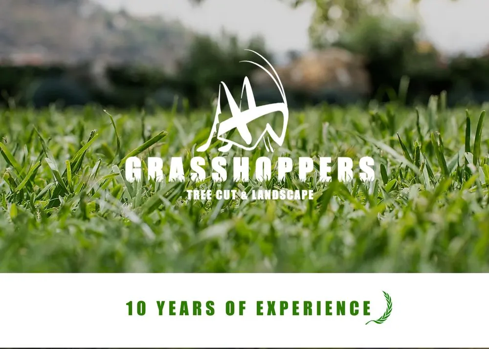 Affordable yard cleanup service in Tomball, TX - Grasshoppers Tree Cut