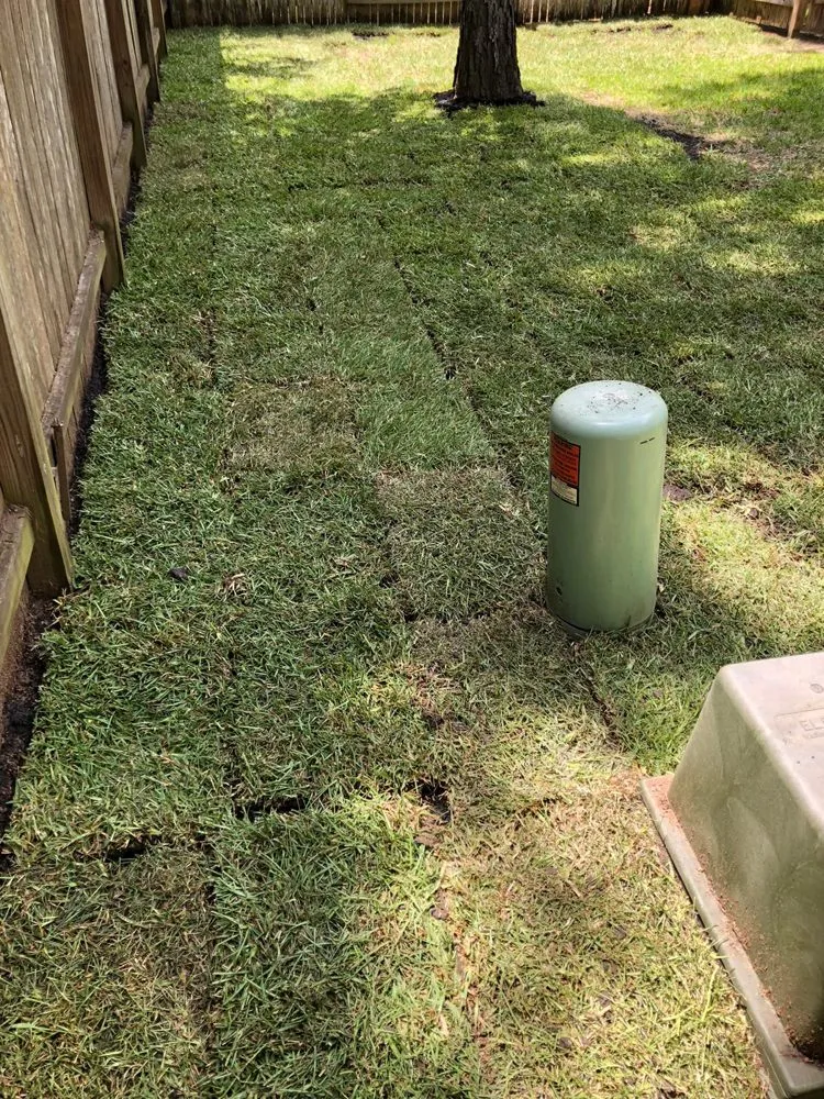 Expert landscape installation for beautiful yards in Tomball, TX by Grasshoppers Tree Cut