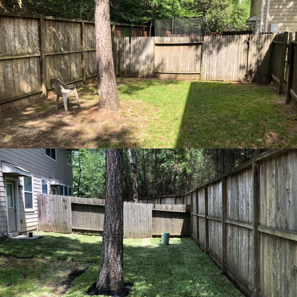 Custom lawn care service for residential properties across Tomball, TX - Grasshoppers Tree Cut