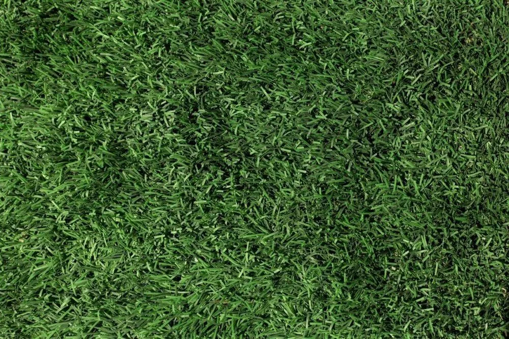 Reliable yard maintenance experts serving Waltham, MA - Grasshoppers