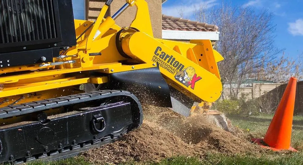 Expert lawn mowing service in Buffalo, NY - Grasshopperz