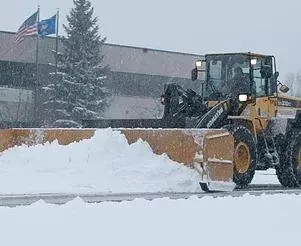 Expert landscaping services in Buffalo, NY by Grasshopperz