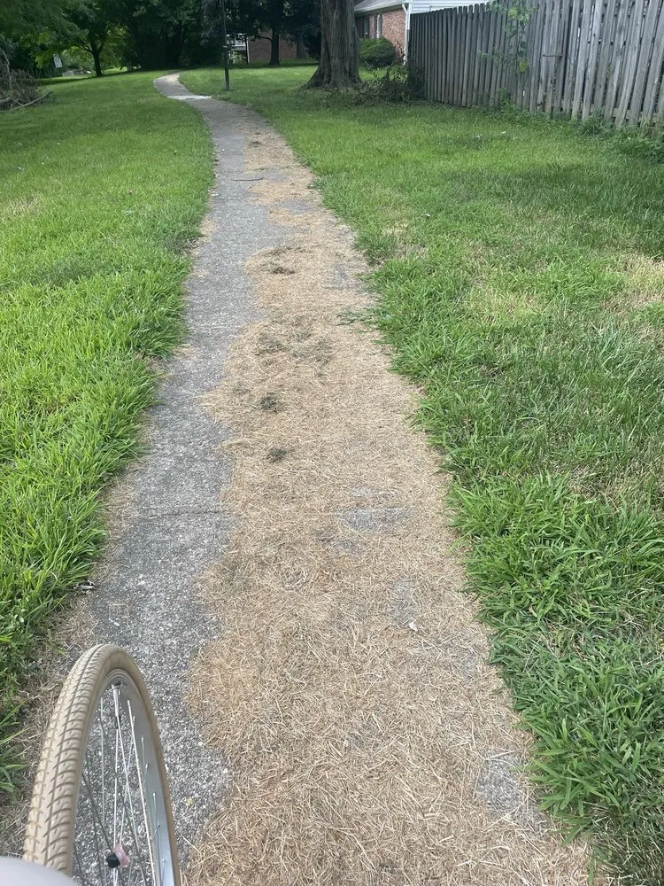 Trusted residential landscaping with custom design in Indianapolis, IN by Grasskickers Lawncare