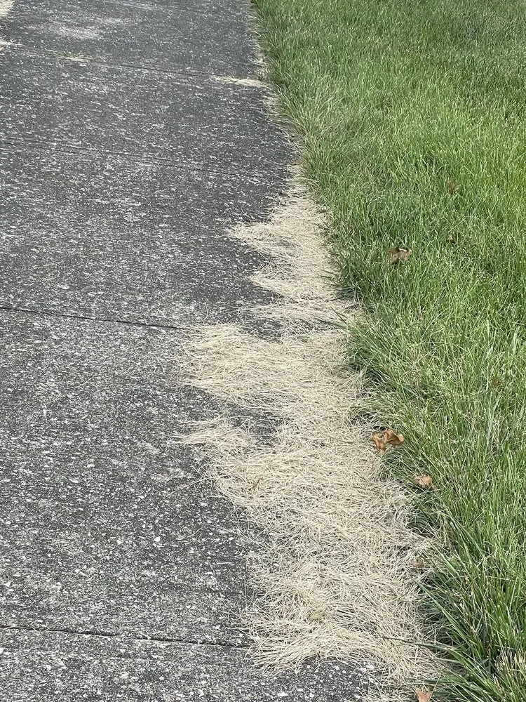 Trusted garden landscaping in Indianapolis, IN by Grasskickers Lawncare