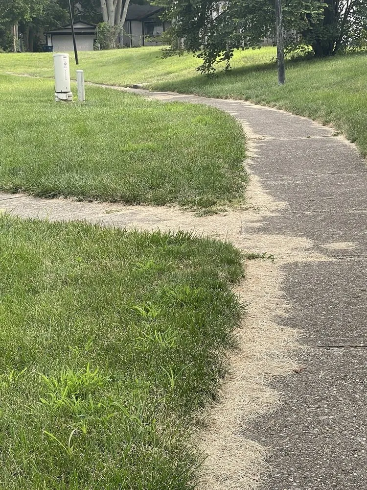 Reliable yard cleanup service experts serving Indianapolis, IN - Grasskickers Lawncare