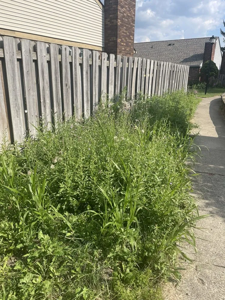 Affordable yard cleanup service experts serving Indianapolis, IN - Grasskickers Lawncare