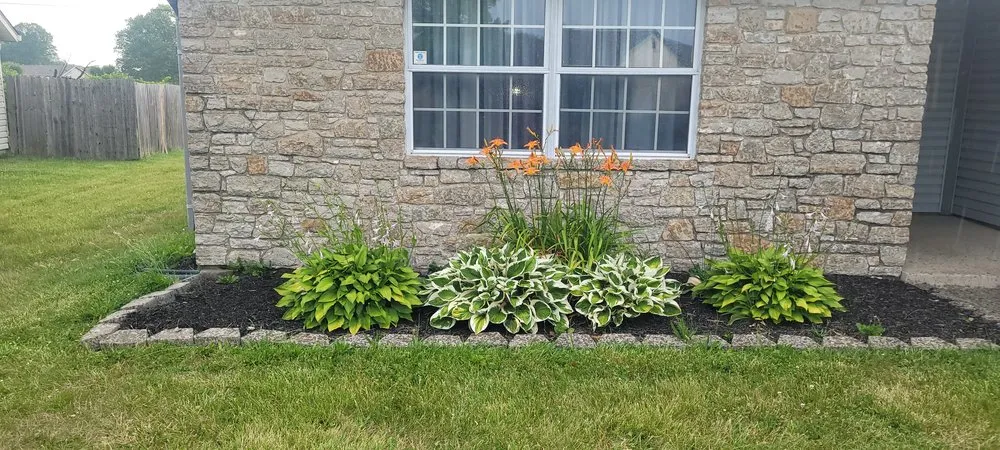 Professional yard cleanup service experts serving Indianapolis, IN - Grasskickers Lawncare