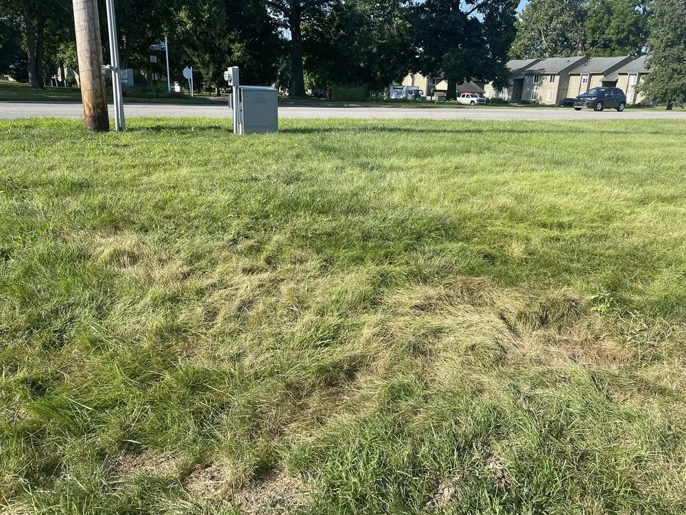 Expert landscaping services in Indianapolis, IN - Grasskickers Lawncare