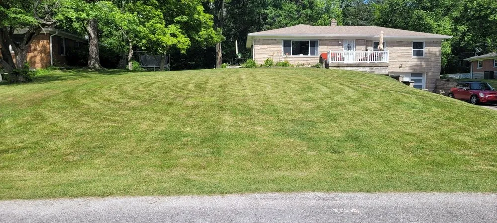 Local yard cleanup service experts serving Indianapolis, IN - Grasskickers Lawncare