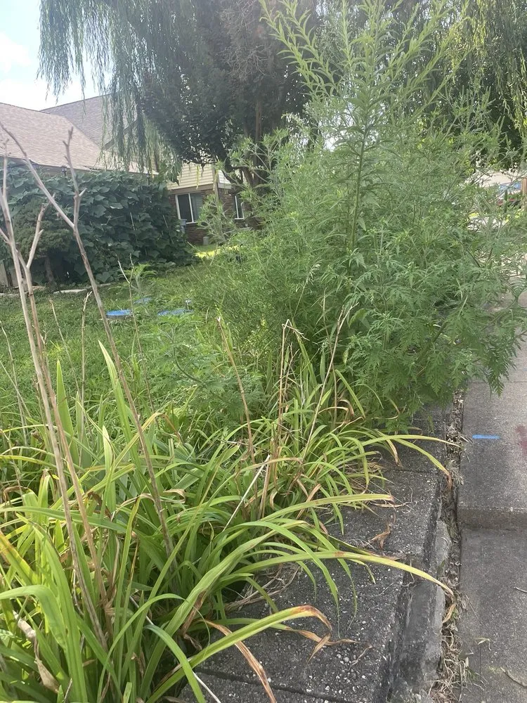 Professional landscape installation experts serving Indianapolis, IN - Grasskickers Lawncare