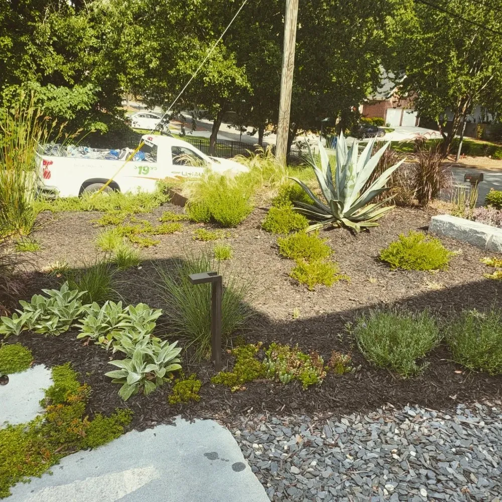 Expert lawn care service in Ball Ground, GA - Grasskings