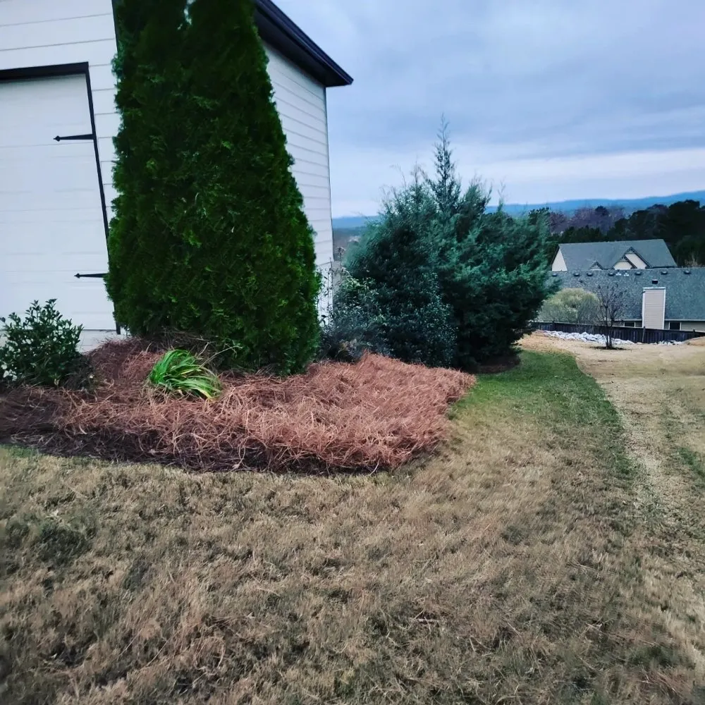 Reliable landscape installation for residential properties across Ball Ground, GA - Grasskings