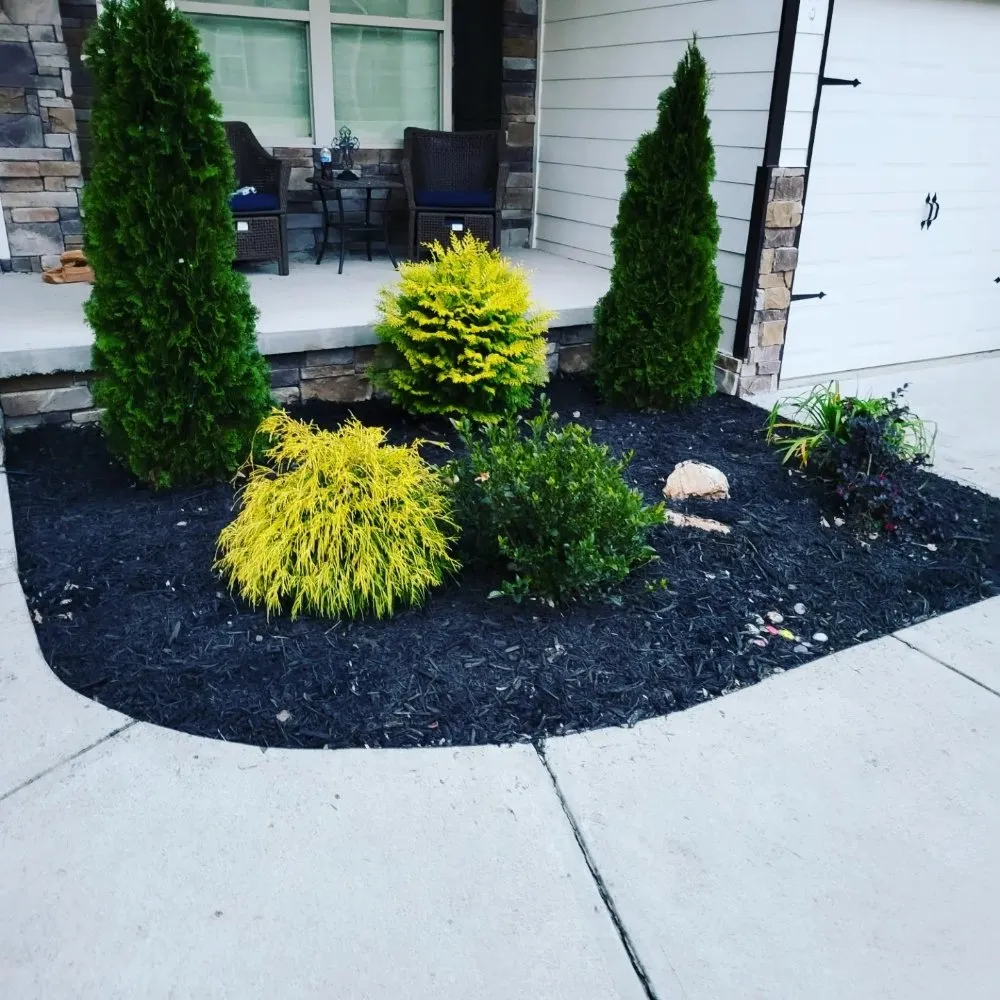 Trusted lawn mowing service for year-round maintenance across Ball Ground, GA - Grasskings