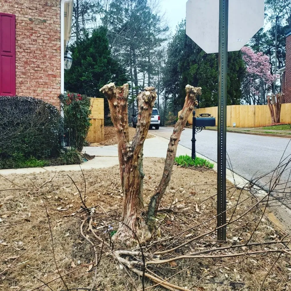 Custom lawn care service in Ball Ground, GA by Grasskings