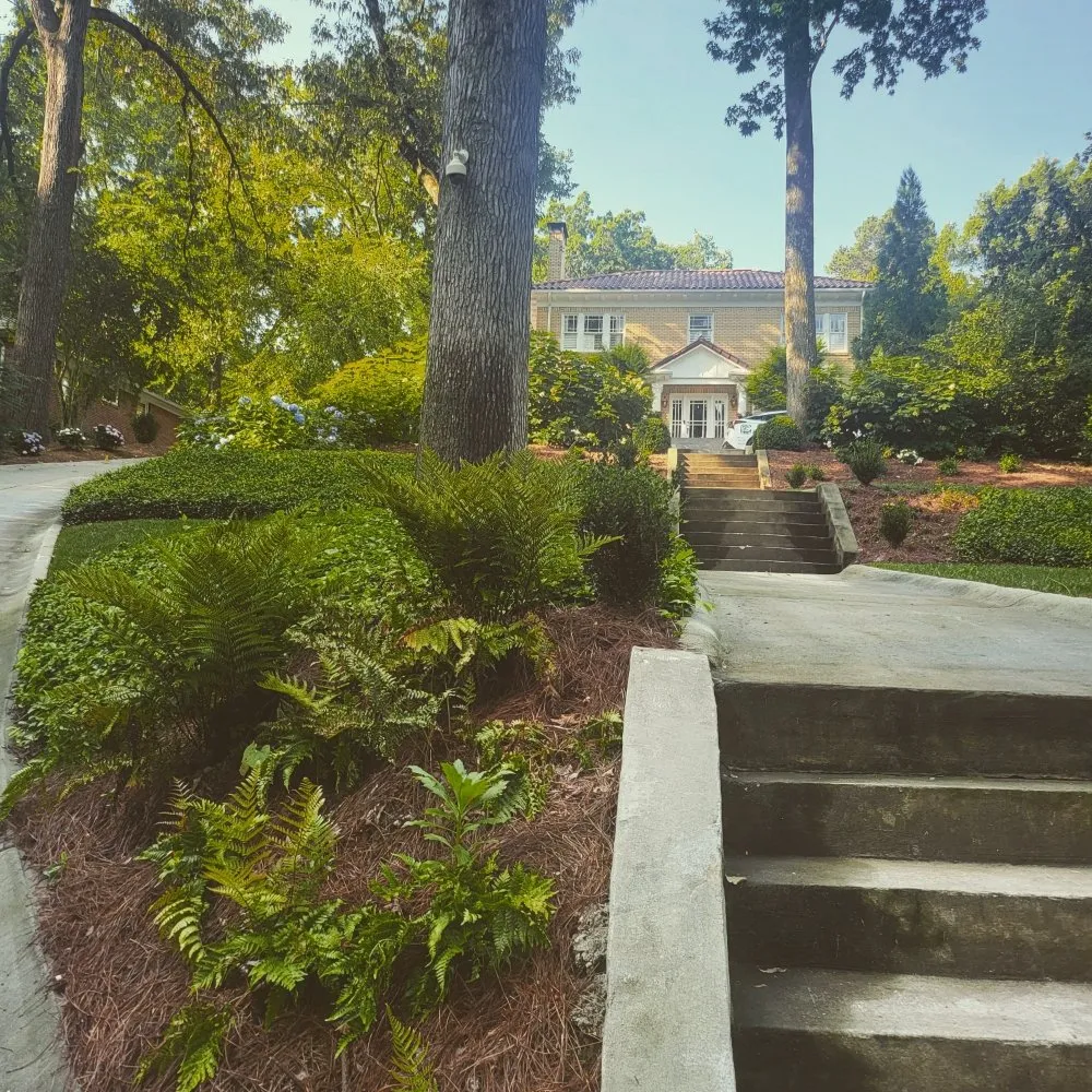 Expert landscaping services for residential properties across Ball Ground, GA - Grasskings