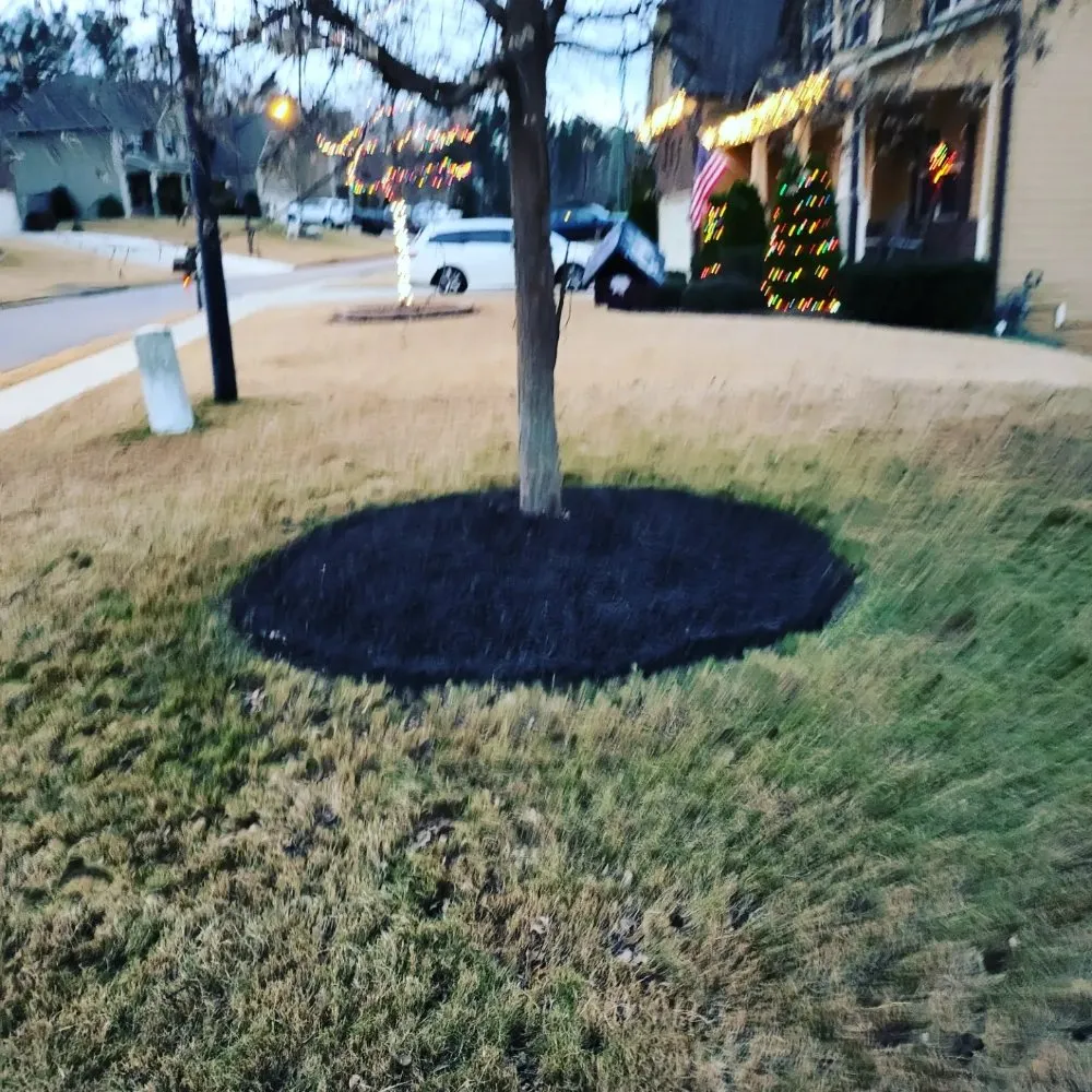 Trusted residential landscaping experts serving Ball Ground, GA - Grasskings