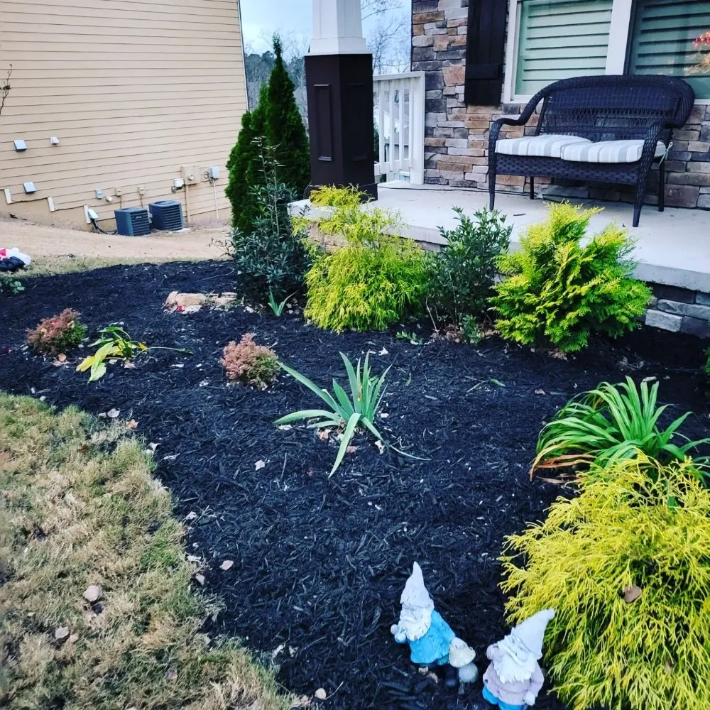 Affordable landscape installation for outdoor upgrades in Ball Ground, GA by Grasskings