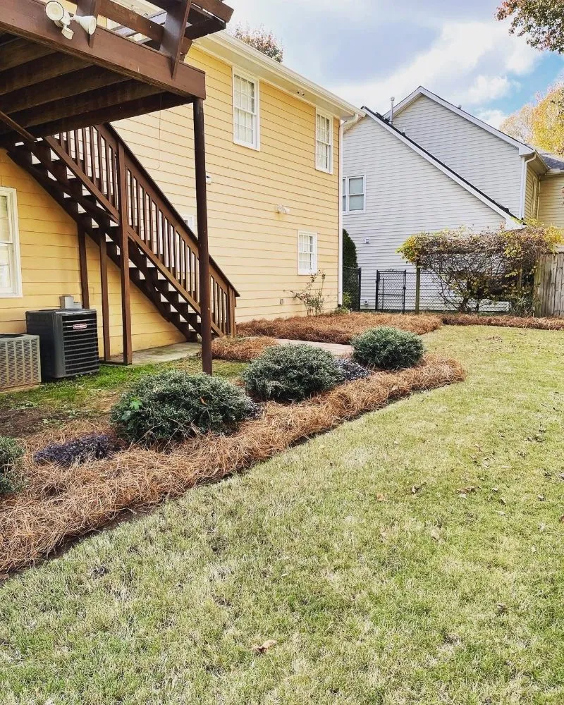 Affordable lawn care service experts serving Ball Ground, GA - Grasskings