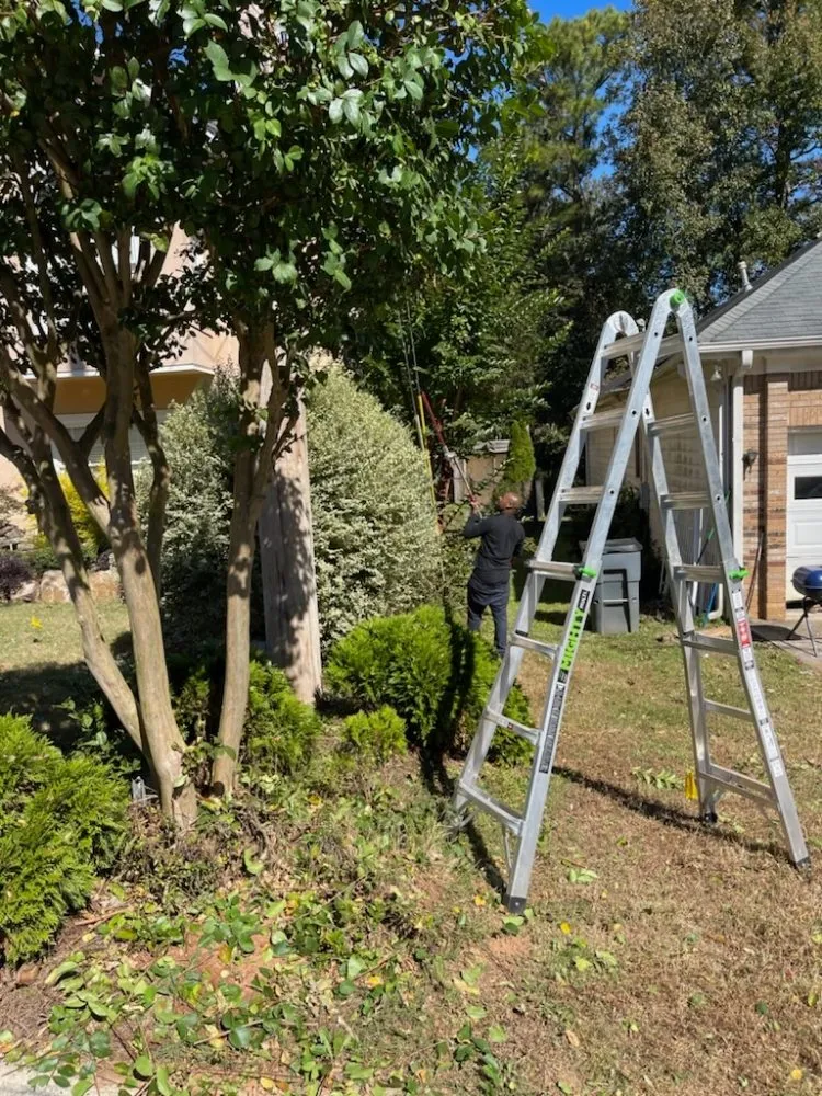 Expert outdoor landscaping for beautiful yards in Ball Ground, GA by Grasskings