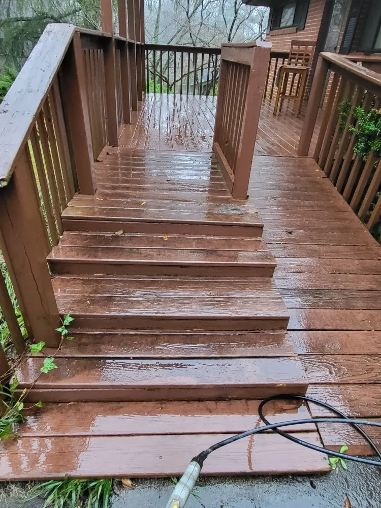 Top-rated residential landscaping experts serving Ball Ground, GA - Grasskings