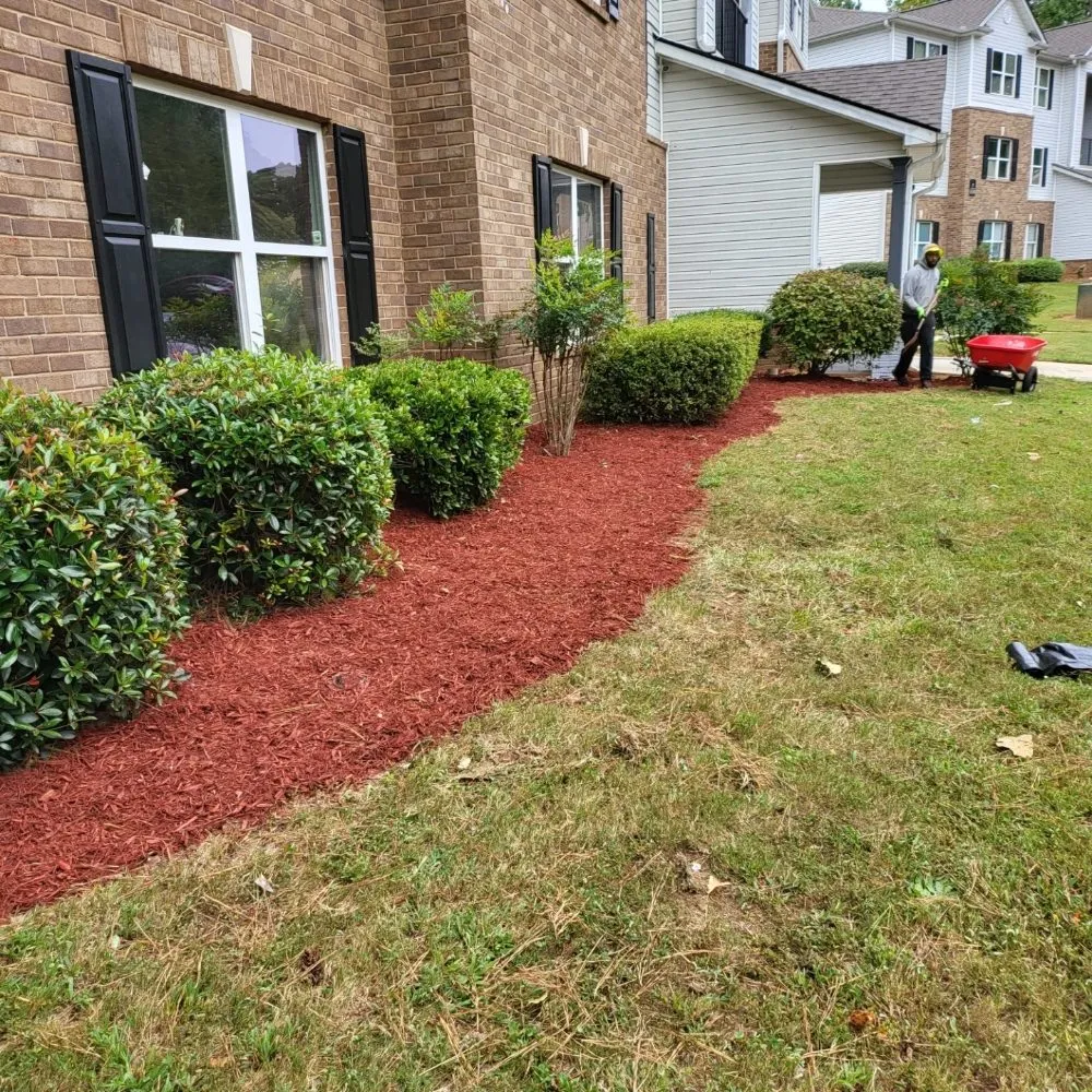 Professional landscape installation in Ball Ground, GA - Grasskings