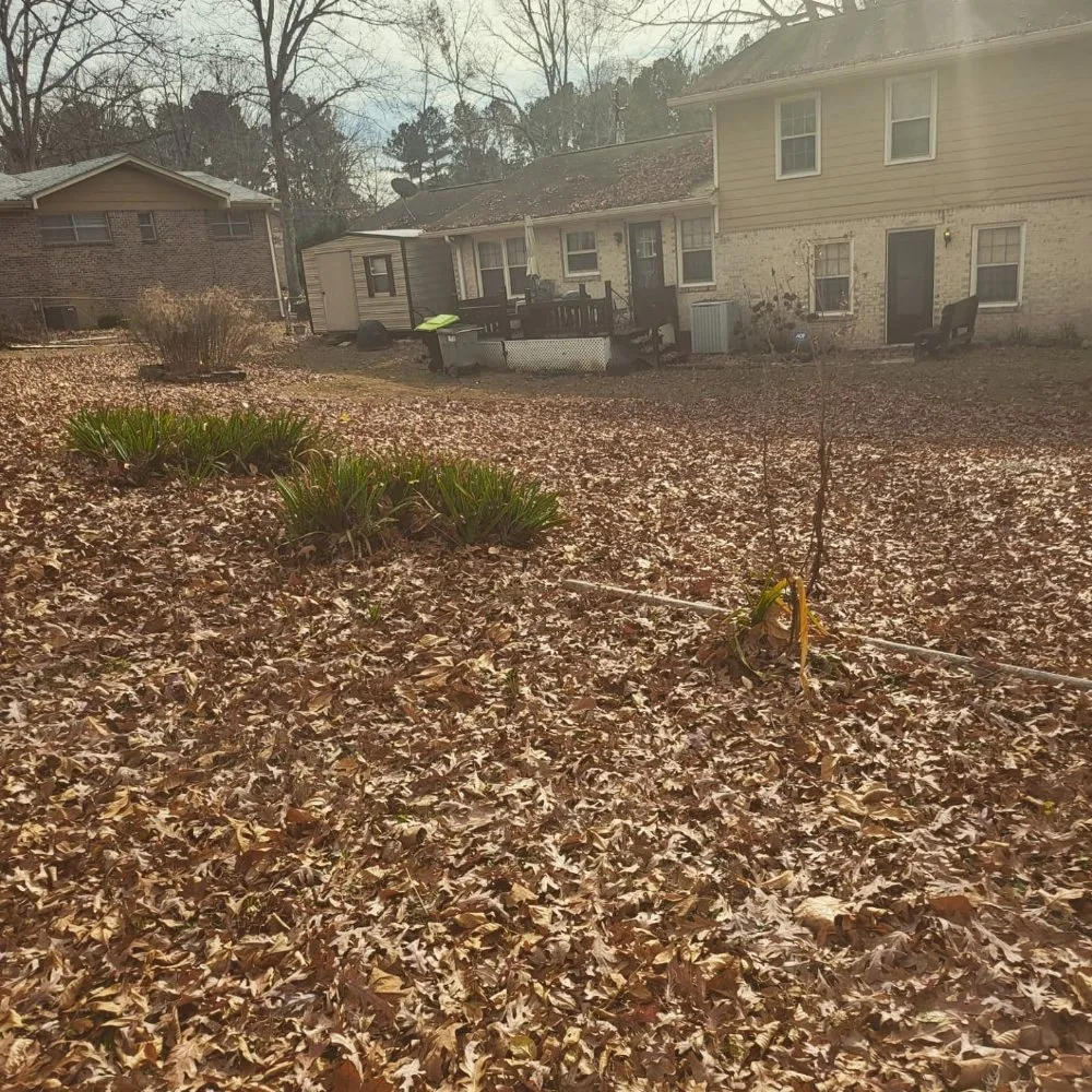 Reliable yard cleanup service for homes across Ball Ground, GA - Grasskings