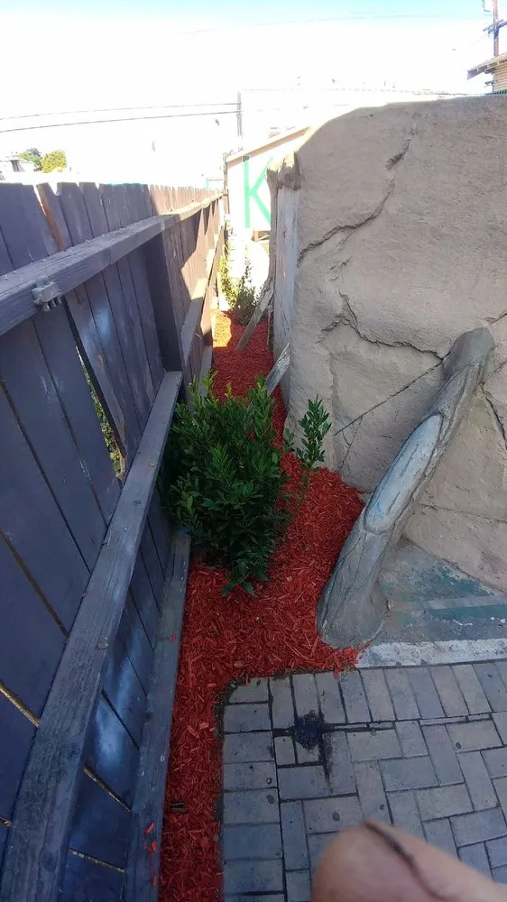 Reliable lawn care service for homes across Long Beach, CA - Grassland Landscape and Lawncare