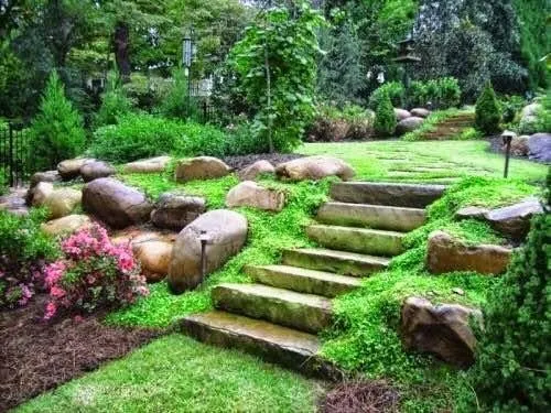 Trusted yard cleanup service in Long Beach, CA by Grassland Landscape and Lawncare