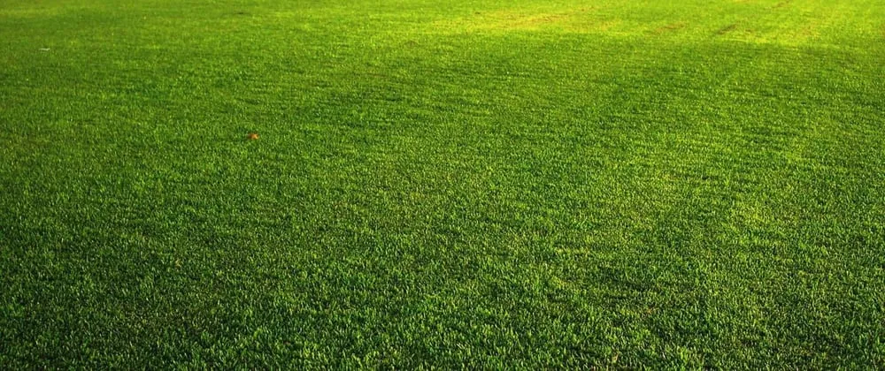 Reliable lawn mowing service for residential properties across Long Beach, CA - Grassland Landscape and Lawncare