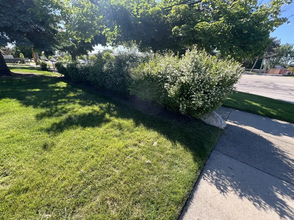 Professional landscaping services in St. Clair Shores, MI by Grassland